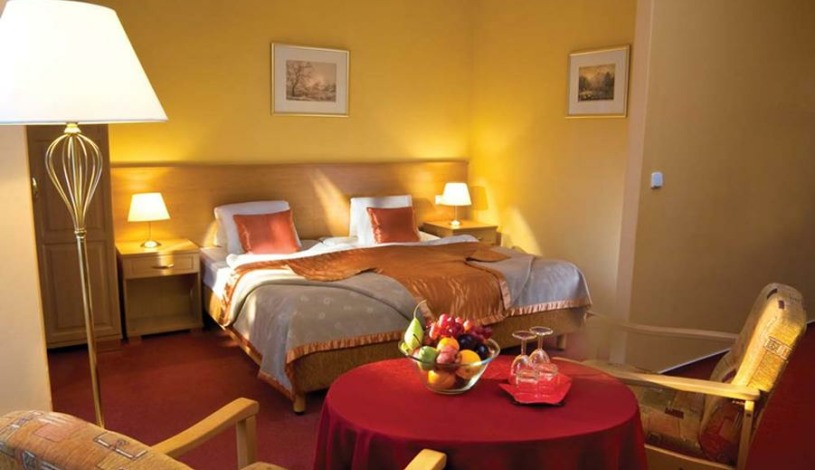 Lázeňský hotel SAVOY Františkovy Lázně - Dvoulůžkový pokoj Standard, Jednolůžkový pokoj Standard